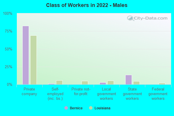 Class of Workers in 2022 - Males