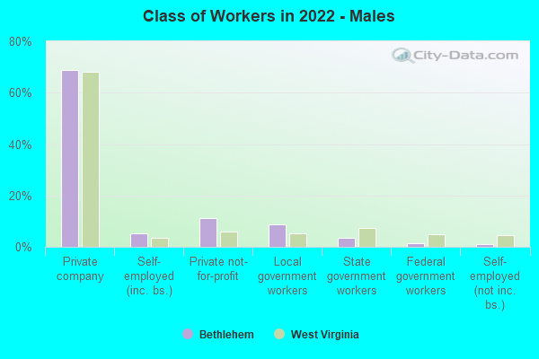 Class of Workers in 2022 - Males