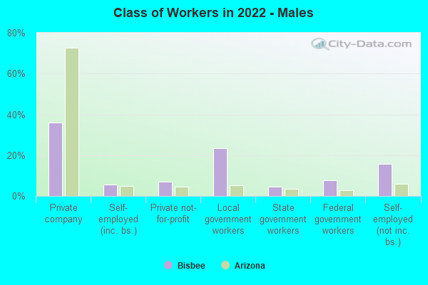 Class of Workers in 2022 - Males