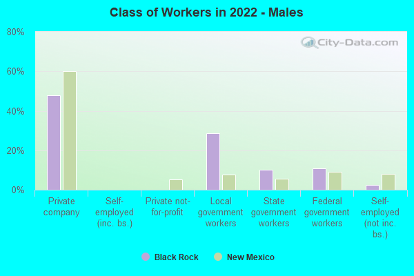 Class of Workers in 2022 - Males