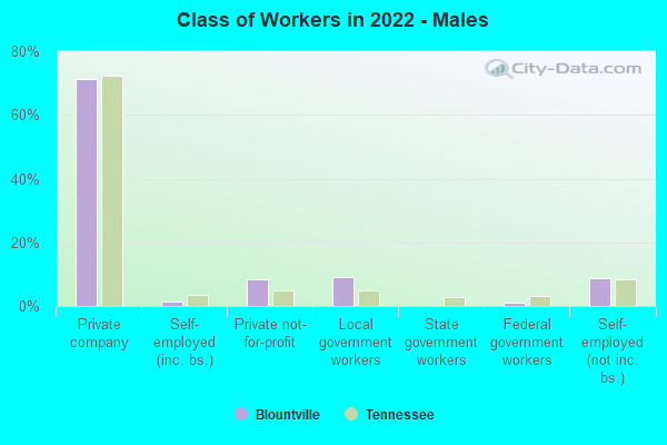 Class of Workers in 2022 - Males