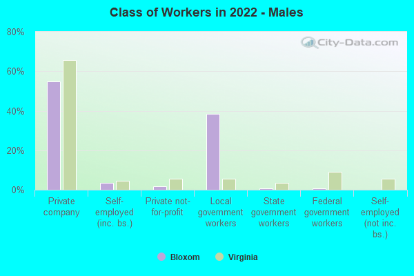 Class of Workers in 2022 - Males