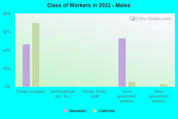 Class of Workers in 2022 - Males