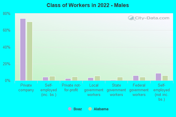 Class of Workers in 2022 - Males