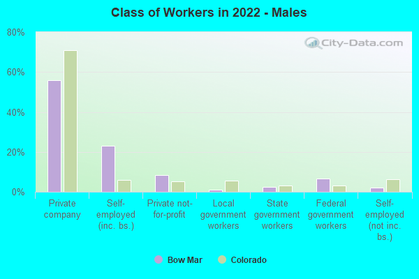 Class of Workers in 2022 - Males