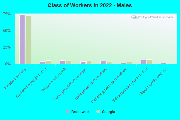 Class of Workers in 2022 - Males