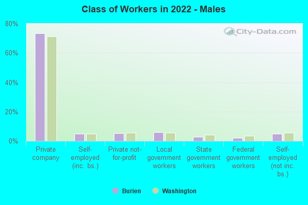 Class of Workers in 2022 - Males