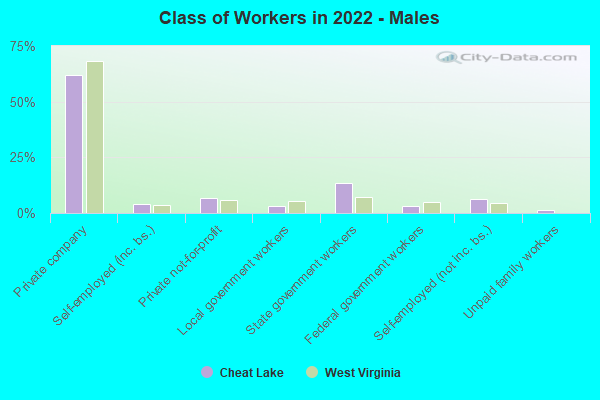 Class of Workers in 2022 - Males