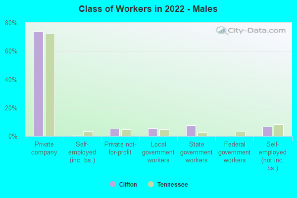 Class of Workers in 2022 - Males