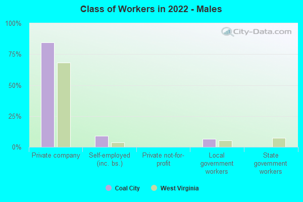 Class of Workers in 2022 - Males