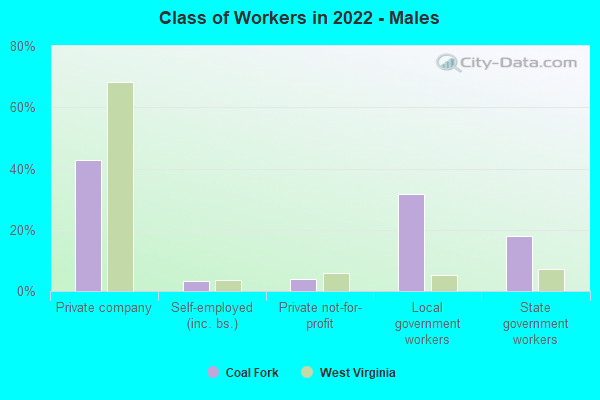 Class of Workers in 2022 - Males