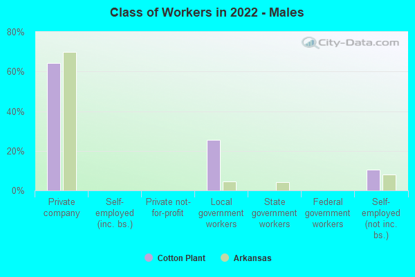 Class of Workers in 2022 - Males