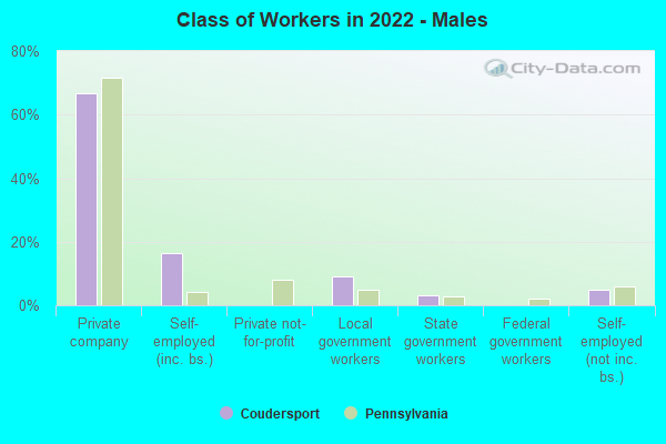 Class of Workers in 2022 - Males