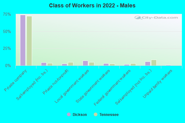 Class of Workers in 2022 - Males