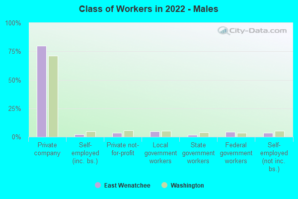 Class of Workers in 2022 - Males