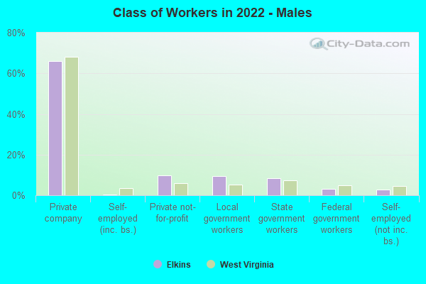 Class of Workers in 2022 - Males