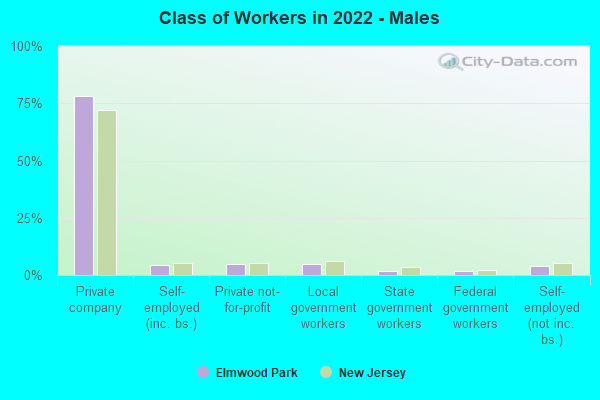 Class of Workers in 2022 - Males