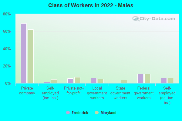 Class of Workers in 2022 - Males