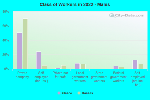 Class of Workers in 2022 - Males