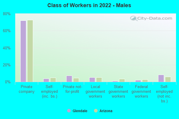 Class of Workers in 2022 - Males