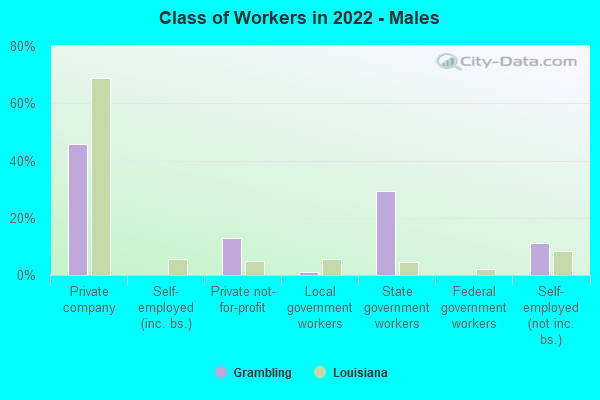 Class of Workers in 2022 - Males