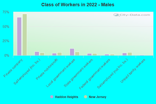 Class of Workers in 2022 - Males