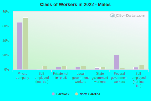 Class of Workers in 2022 - Males