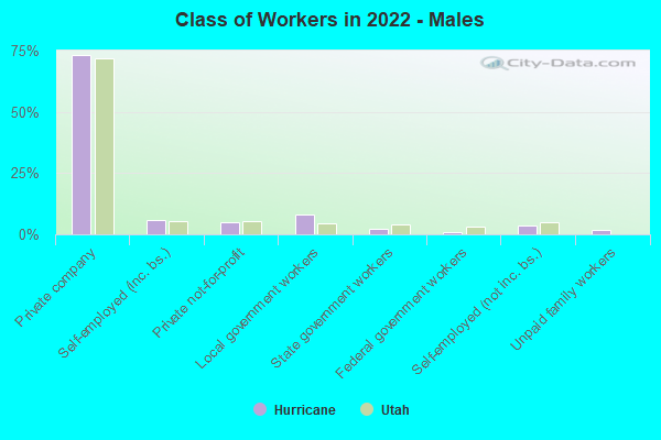 Class of Workers in 2022 - Males