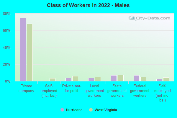 Class of Workers in 2022 - Males