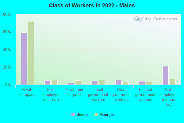 Class of Workers in 2022 - Males