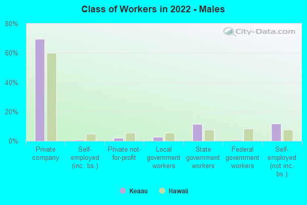 Class of Workers in 2022 - Males