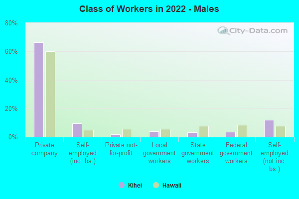 Class of Workers in 2022 - Males