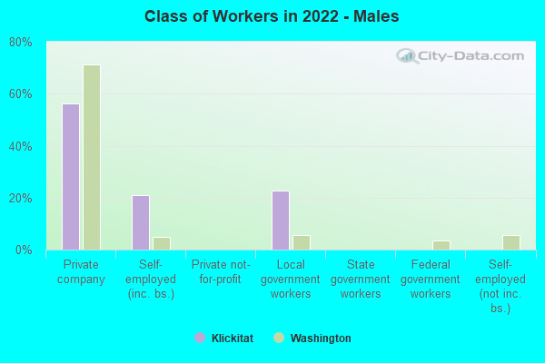 Class of Workers in 2022 - Males