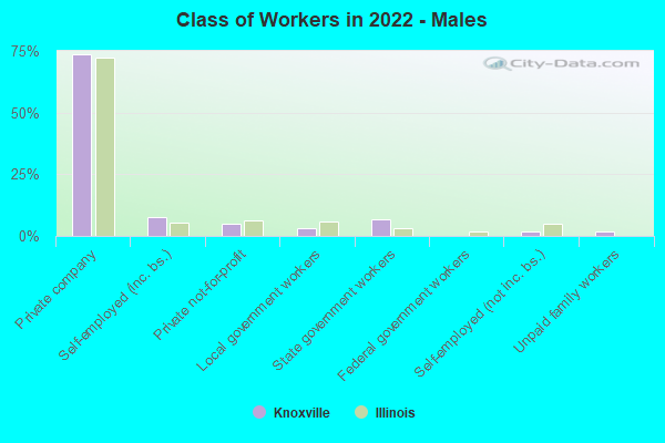 Class of Workers in 2022 - Males