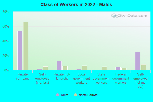 Class of Workers in 2022 - Males