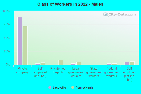 Class of Workers in 2022 - Males