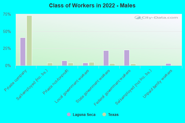 Class of Workers in 2022 - Males