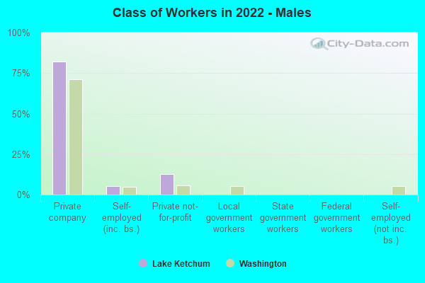 Class of Workers in 2022 - Males