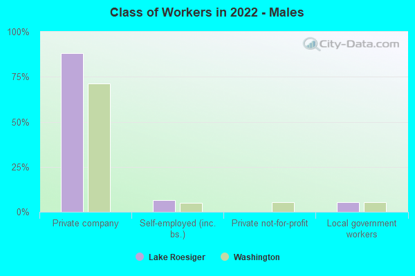 Class of Workers in 2022 - Males