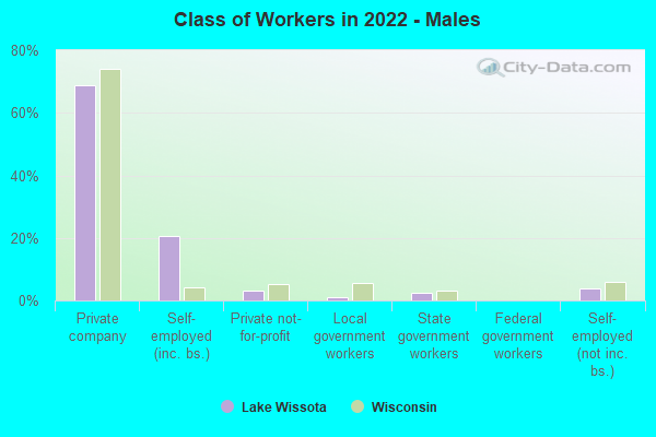 Class of Workers in 2022 - Males