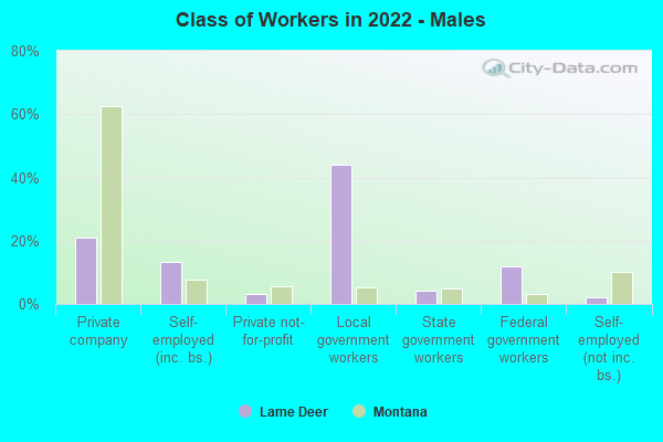 Class of Workers in 2022 - Males