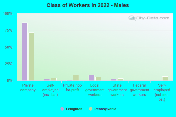 Class of Workers in 2022 - Males