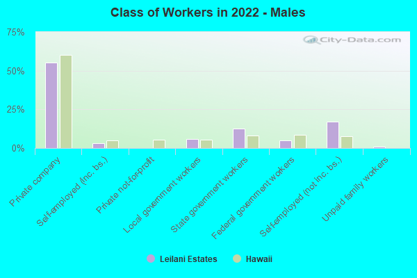 Class of Workers in 2022 - Males