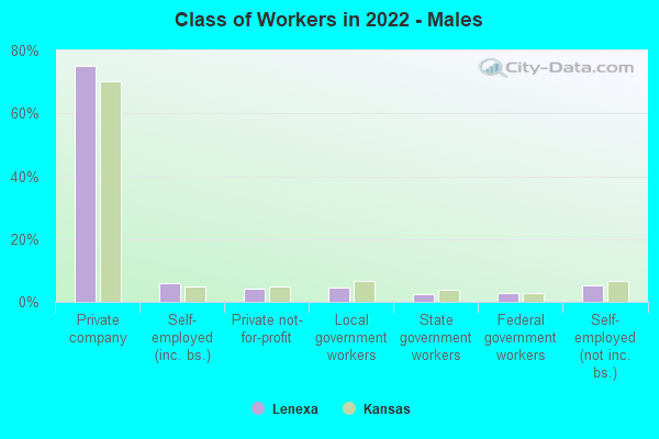 Class of Workers in 2022 - Males