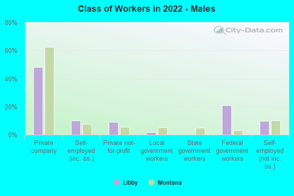 Class of Workers in 2022 - Males