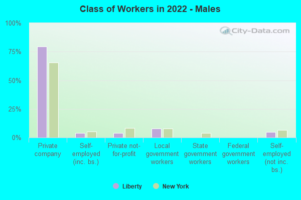 Class of Workers in 2022 - Males