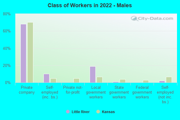 Class of Workers in 2022 - Males