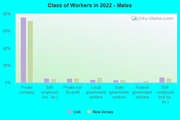 Class of Workers in 2022 - Males