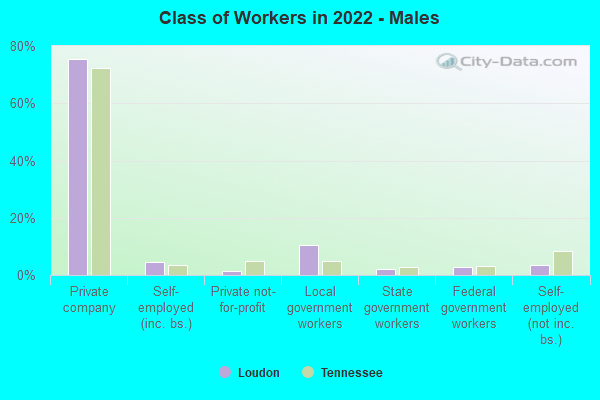 Class of Workers in 2022 - Males