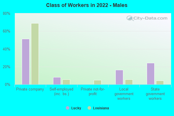 Class of Workers in 2022 - Males